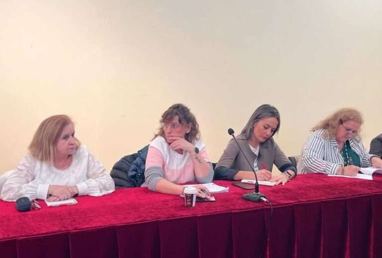 PSOE pedirá al pleno de Toledo reprobar a edil de Asuntos Sociales por "plagiar" el plan de igualdad de Valdepeñas