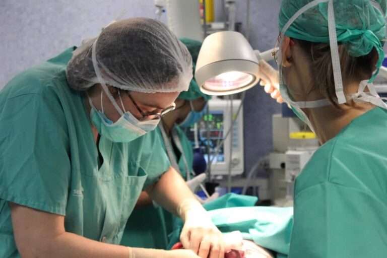 Las donaciones de órganos y tejidos aumentaron un 22% en C-LM en 2023, hasta los 90 donantes
