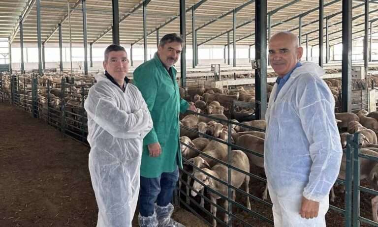 Junta refuerza el trabajo de las Agrupaciones de Defensa Sanitaria Ganadera con 1,5 millones de euros