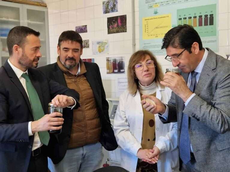El Centro de Investigación Apícola de la Junta sitúa a la miel de C-LM como "una de las mejores del mundo"