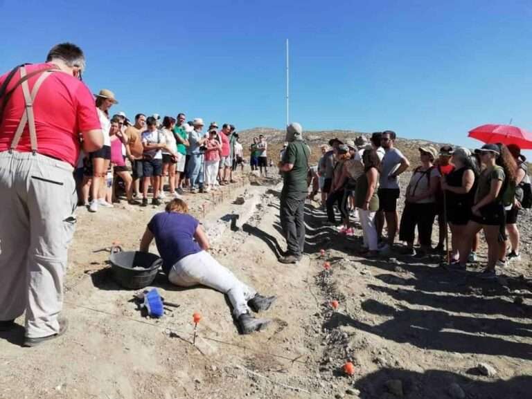 VÍDEO: Junta declara BIC yacimiento del Cerro de la Virgen de la Muela de Driebes que alberga la ciudad romana de Caraca