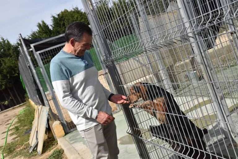 El Albergue Provincial de Animales de Cuenca concluye 2023 con 146 adopciones, un 92% más que en 2022