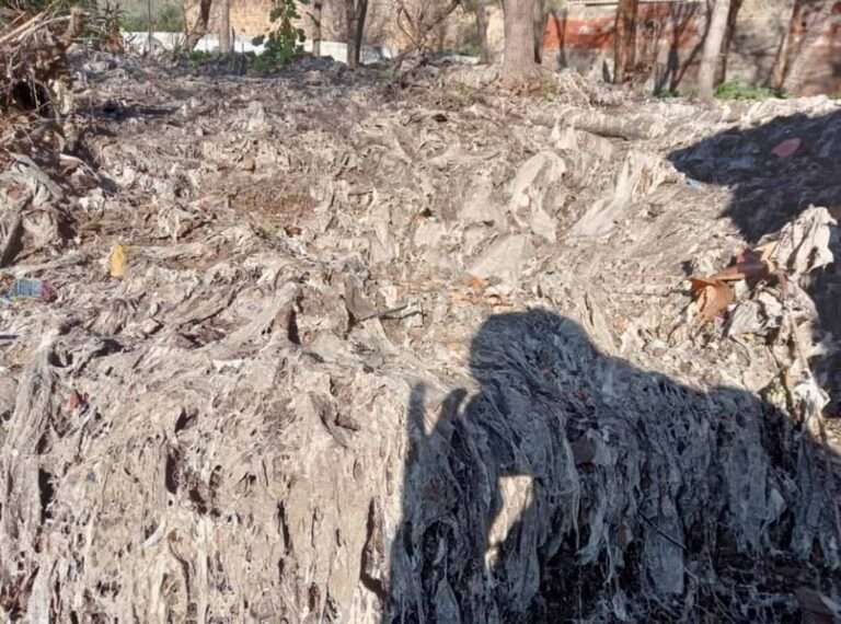 La Plataforma en Defensa del Tajo en Toledo denuncia vertidos al río de "multitud de toallistas, compresas y plásticos"