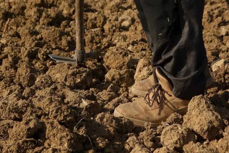 Agricultores y ganaderos asegurados de C-LM percibieron 178 millones de euros en indemnizaciones en 2023