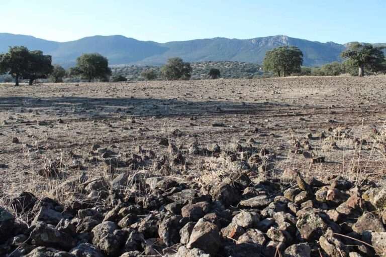 Geoparque de Ciudad Real buscará su declaración como Patrimonio de la Unesco "en este mismo año"