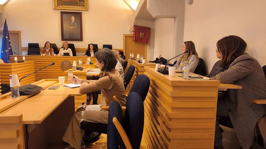 El Consejo Local de la Mujer de Ciudad Real crea subcomisiones para dinamizar su actividad