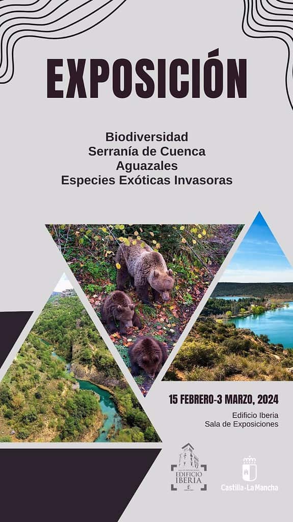 Una exposición ambiental que recorre los humedales de C-LM podrá verse en Cuenca a partir del 15 de febrero