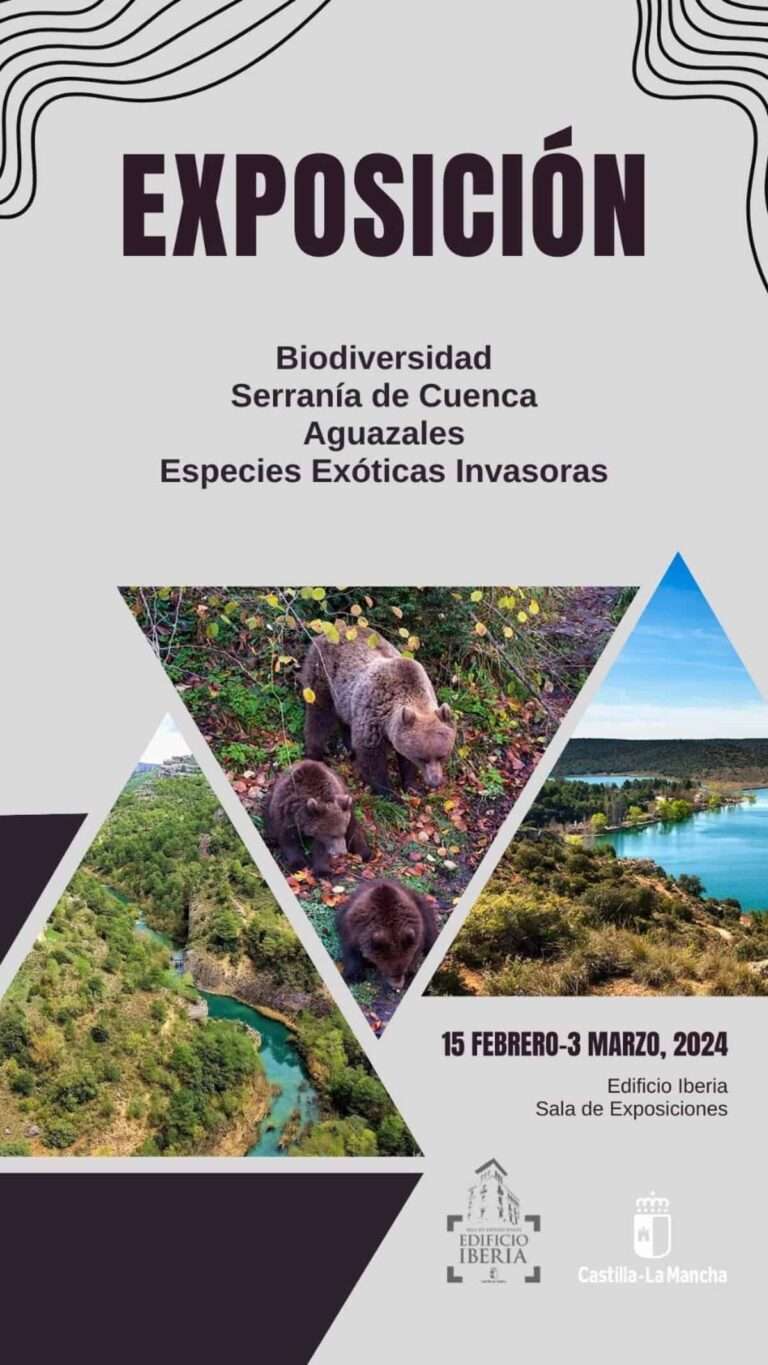 Una exposición ambiental que recorre los humedales de C-LM podrá verse en Cuenca a partir del 15 de febrero
