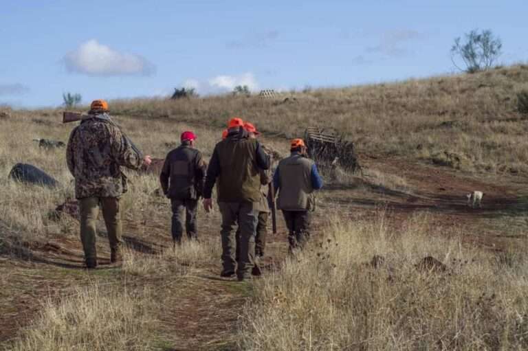 IU presentará mociones en los ayuntamientos para evitar que se pueda cazar en caminos y vías pecuarias de C-LM