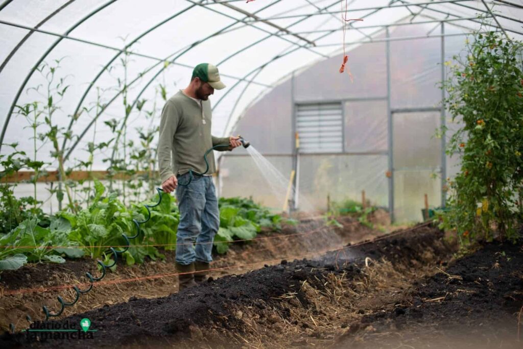 Agricultor regando