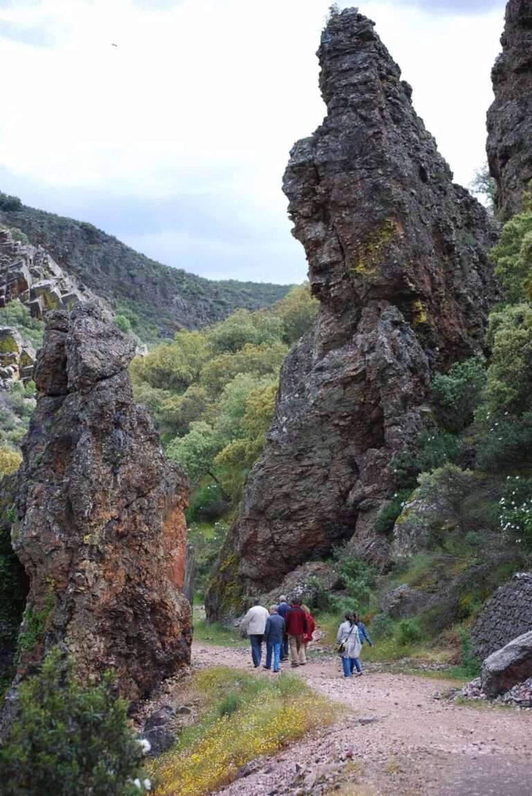 Centros docentes de C-LM podrán pedir desde este jueves ayudas al transporte para hacer visitas a espacios naturales