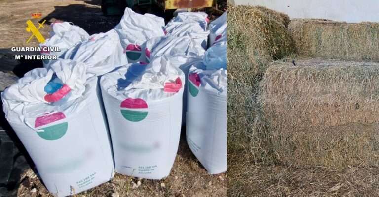 Detenidos dos varones con antecedentes por robar palets de cebollas, abono y pacas de alfalfa en Albacete