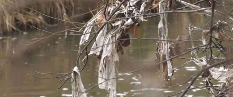 Más de 80 colectivos alertan del "deficiente estado" de los ríos de la cuenca del Tajo con motivo de Día del Agua