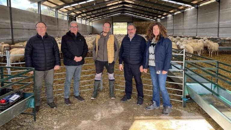 C-LM garantiza su ayuda para incorporar a todos los jóvenes que lo deseen al sector agrario y ganadero