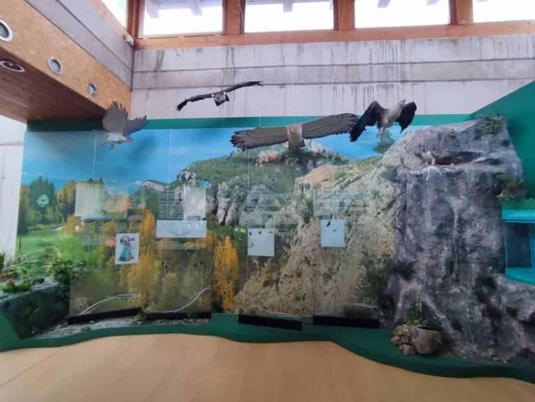 El Centro de Interpretación del Tajo en Zaorejas triplica su número de visitantes hasta las 3021 personas