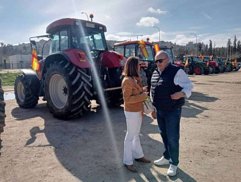Fresneda critica "intereses políticos y económicos" en movilizaciones de Unión de Uniones: "Nadie decide por nosotros"