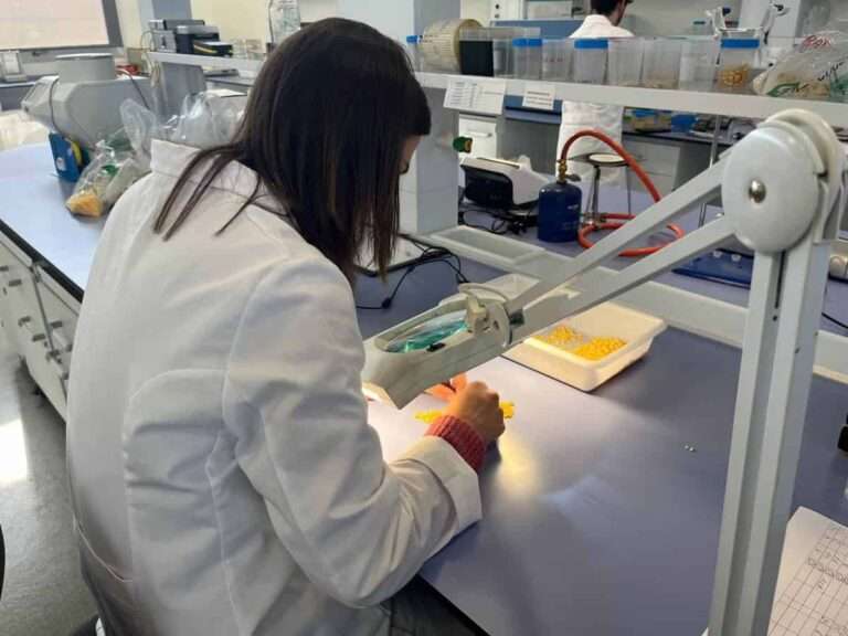 Paro.- Febrero deja 345 personas paradas más en C-LM, que anota un total de 138.474