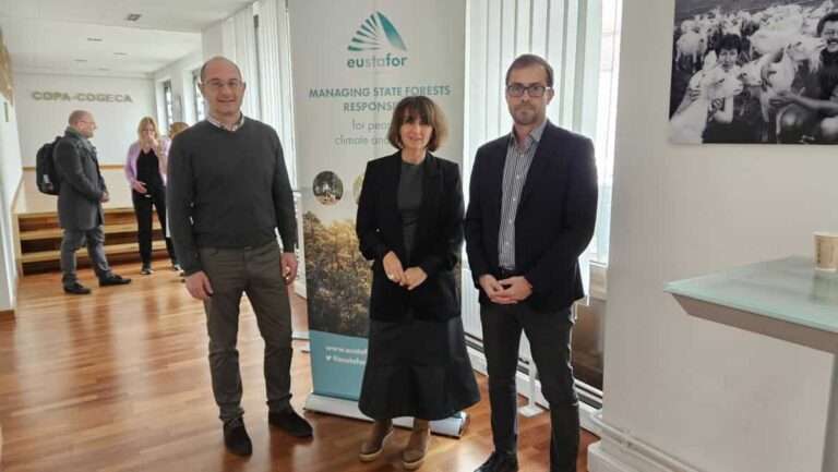 La Junta participa en la asamblea de Eustafor en Bruselas para transmitir las singularidades del ámbito forestal de C-LM