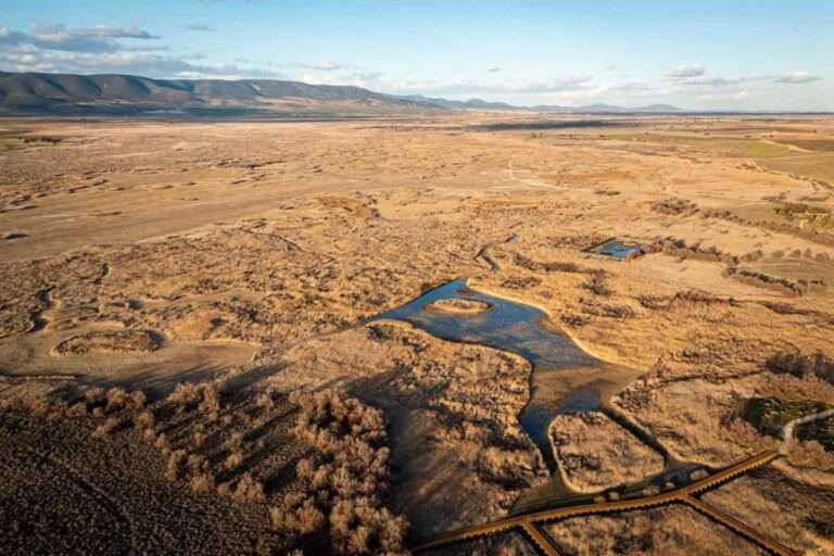ONGs ambientales creen que las Tablas de Daimiel están ante "el escenario oportuno" para poner remedio a su deterioro