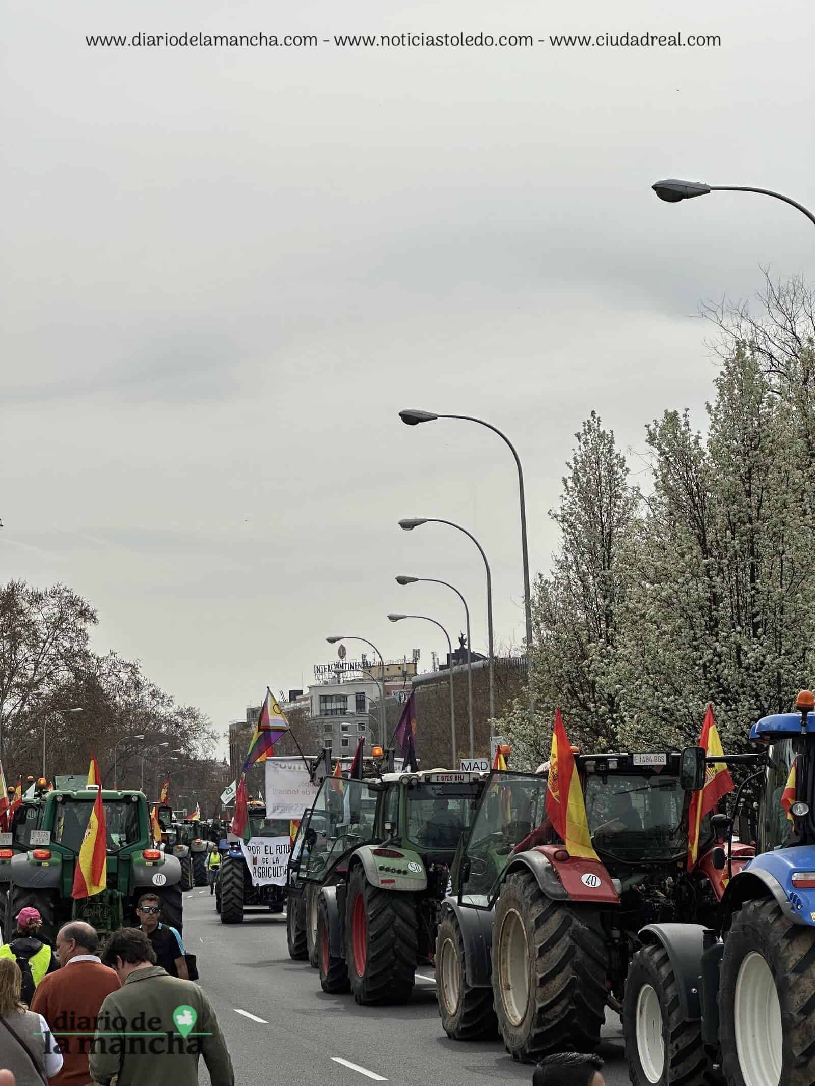 España se Moviliza: La protesta de tractores que recorrió la capital 95