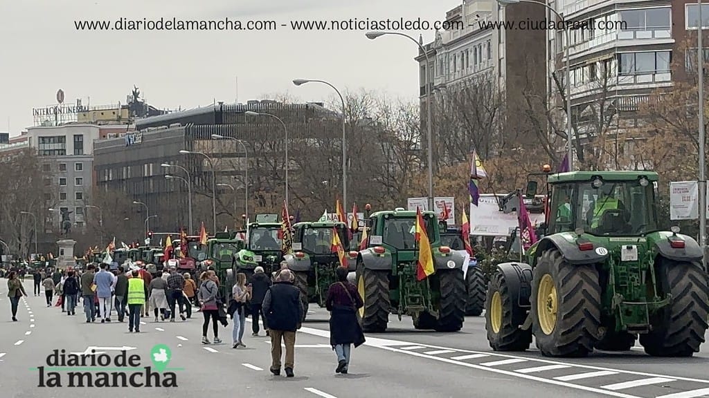 España se Moviliza: La protesta de tractores que recorrió la capital 99