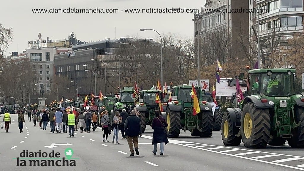 España se Moviliza: La protesta de tractores que recorrió la capital 100