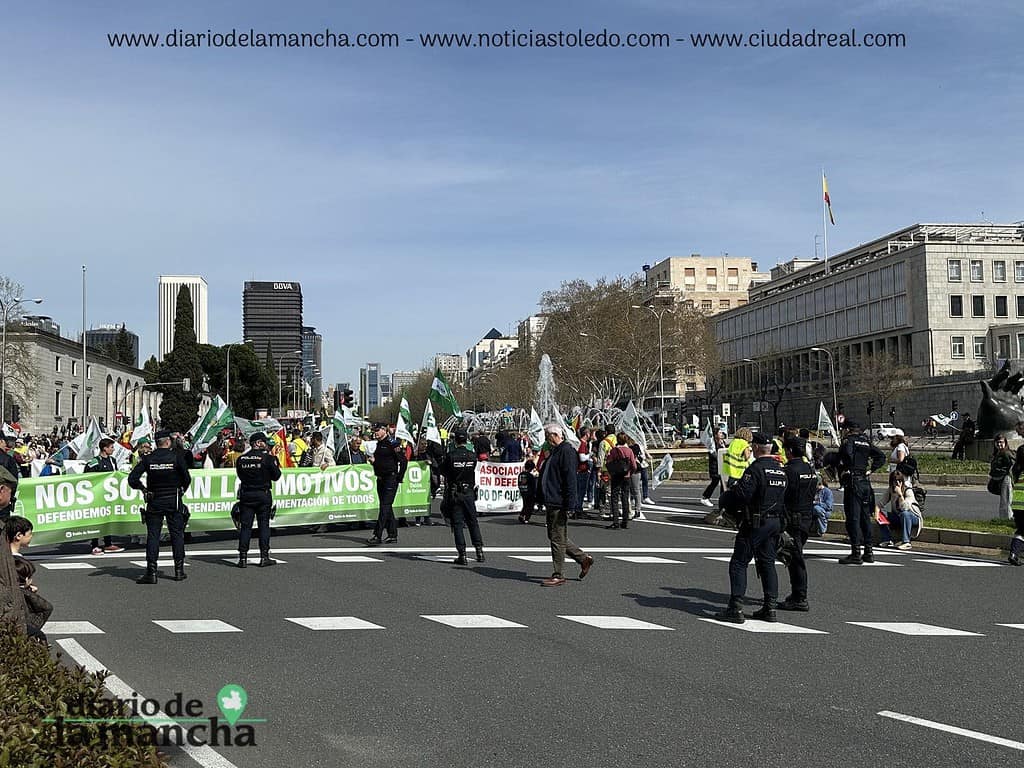 España se Moviliza: La protesta de tractores que recorrió la capital 37