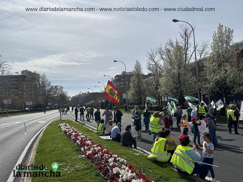España se Moviliza: La protesta de tractores que recorrió la capital 41