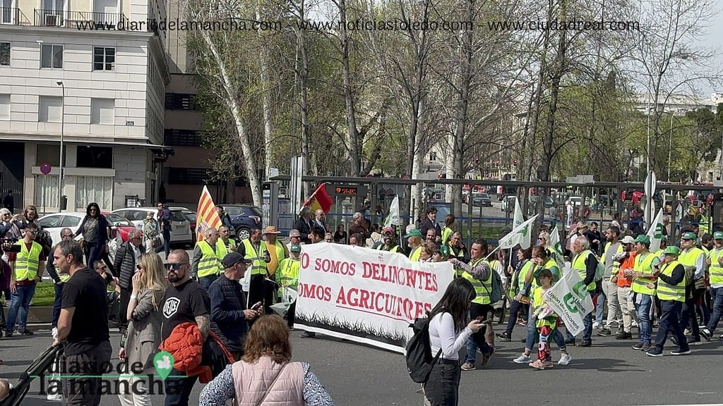 España se Moviliza: La protesta de tractores que recorrió la capital 43