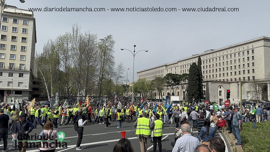 España se Moviliza: La protesta de tractores que recorrió la capital 44