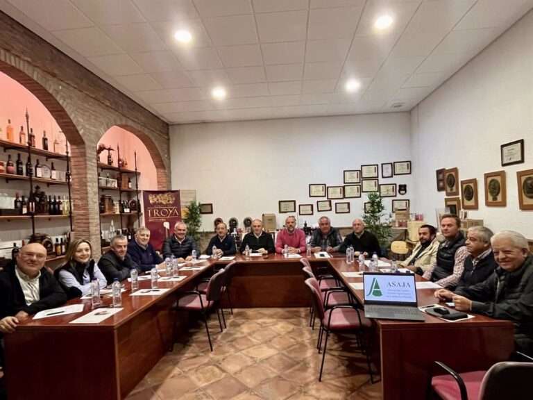 Asaja C-LM llevará a Europa su estrategia sobre el viñedo para recuperar la rentabilidad de las explotaciones vitícolas