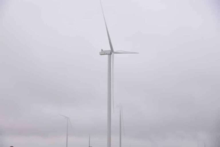 C-LM bate su récord de producción de energía renovable y se convierte en la CCAA que más megavatios renovables instala