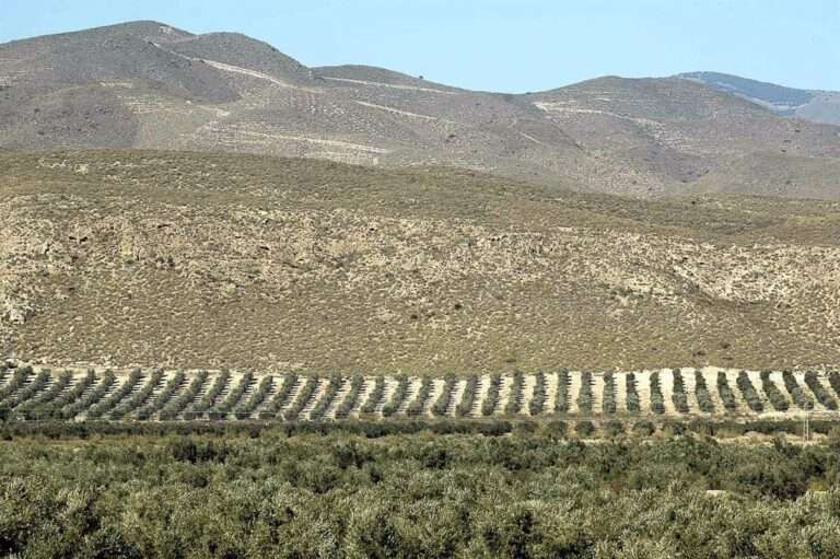 Junta convoca por procedimiento de tramitación anticipada indemnizaciones para agricultores en zonas de montaña