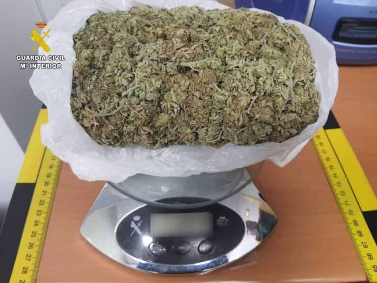 Investigada una persona e intervenidos más de 200 gramos de marihuana ocultos en un vehículo en Tobarra