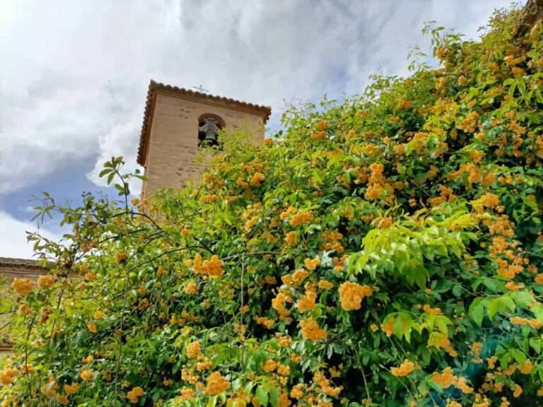 El Mercado de las Flores regresa este sábado al toledano Jardín de San Lucas