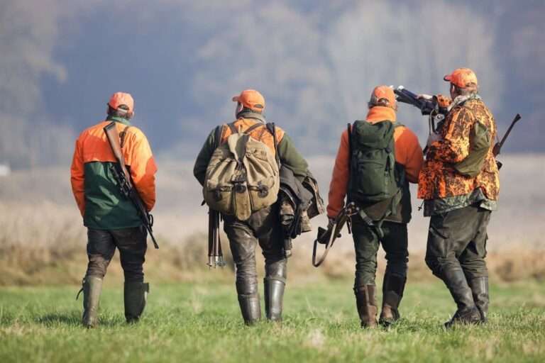 La orden que desarrolla el régimen jurídico del padrón cinegético en C-LM, a información pública desde este jueves