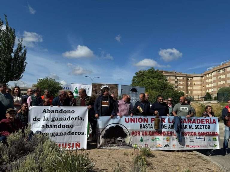 Asaja espera que el Foro de la Ganadería Extensiva escuche sus propuestas ante la "catastrófica" situación del sector