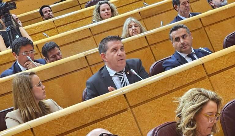Cabañero resalta en el Senado la importancia de "avanzar en autonomía municipal" para fortalecer la España rural