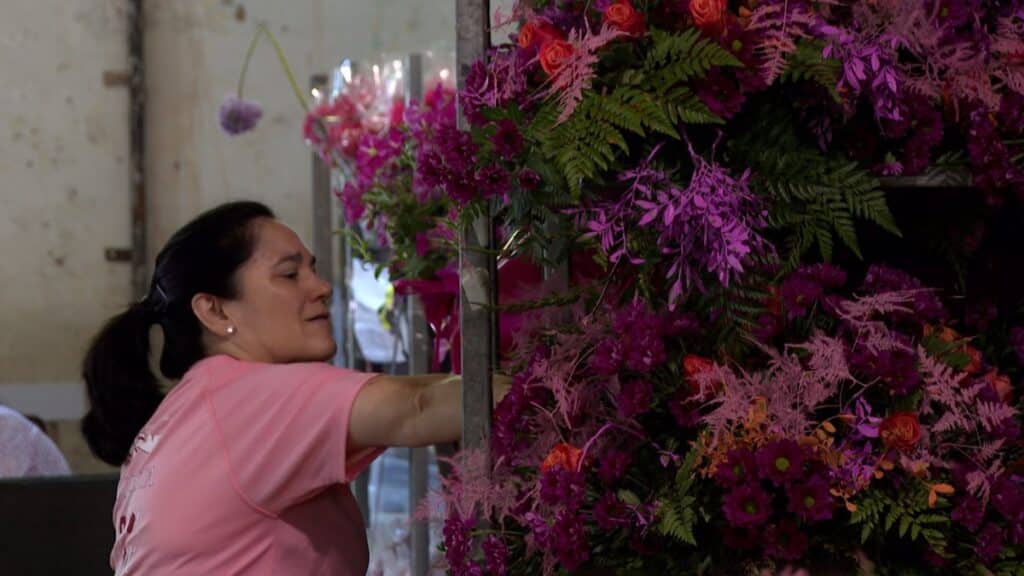 Floristas de todo el país trabajan "contrarreloj" para engalanar Toledo por el Corpus, que luce ya más de mil plantas