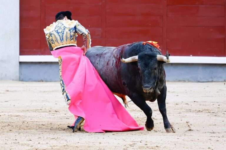 Gobierno C-LM argumenta que con la presentación de las alegaciones cumple con su obligación de "proteger" la tauromaquia