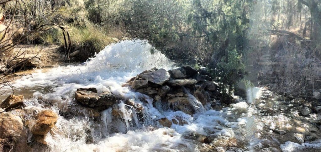 La CHS recibe la DIA favorable para la apertura de los pozos de sequía de Hellín