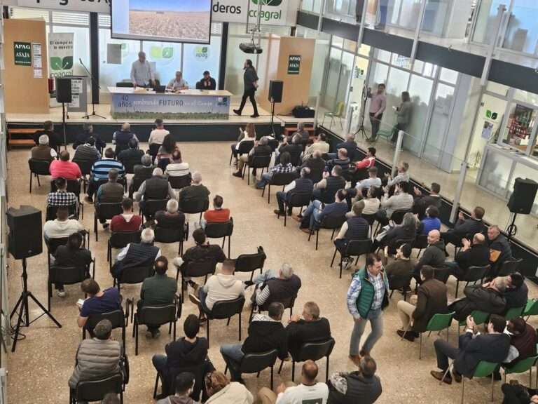 La técnica de siembra directa supera ya en Castilla-La Mancha el 10 por ciento de la superficie de cultivo