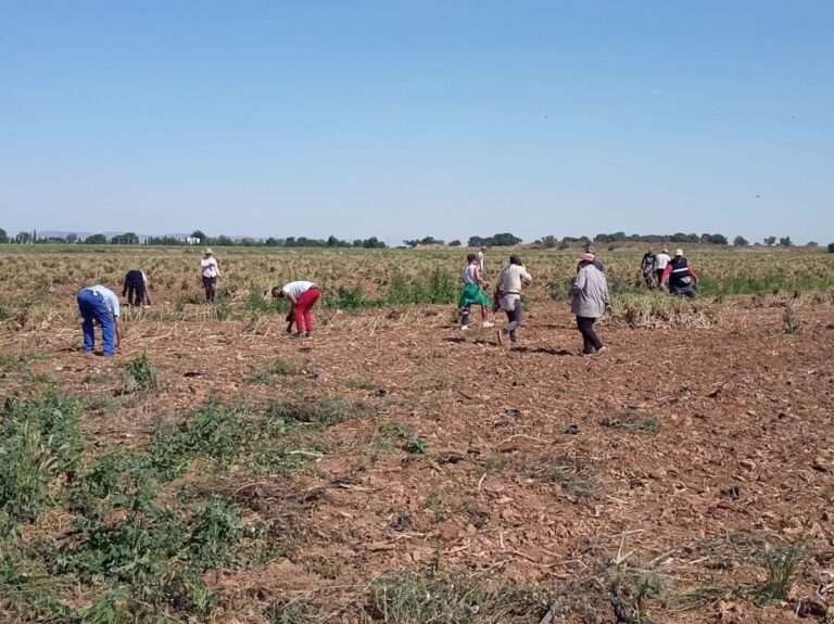 UPA C-LM alerta de que el 90% de demandantes de asilo que piden trabajar en el campo lo hacen con documento falso