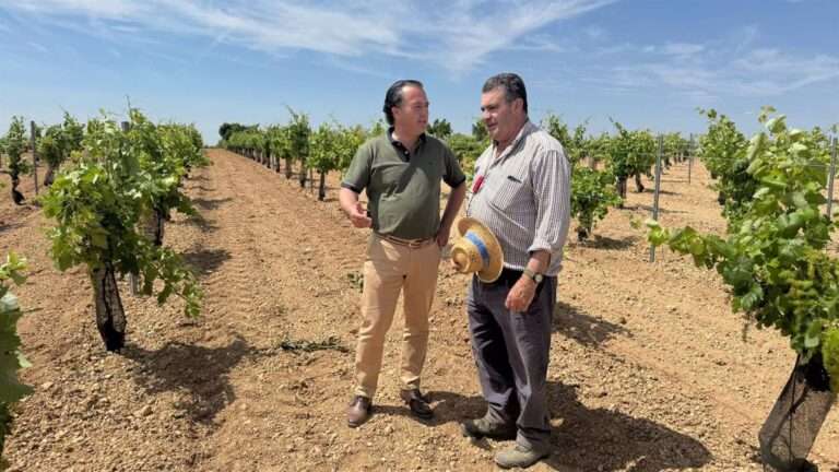 Día de C-LM: Vox marca distancias de la celebración institucional de la autonomía con una reunión con agricultores