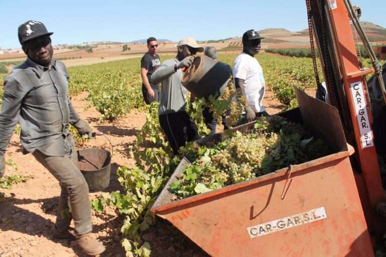 CCOO C-LM reclama a los ayuntamiento espacios habilitados para los temporeros