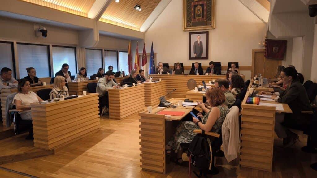 El pleno del Ayuntamiento de Ciudad Real insta al Gobierno central a mantener la conexión de la ciudad con Granada