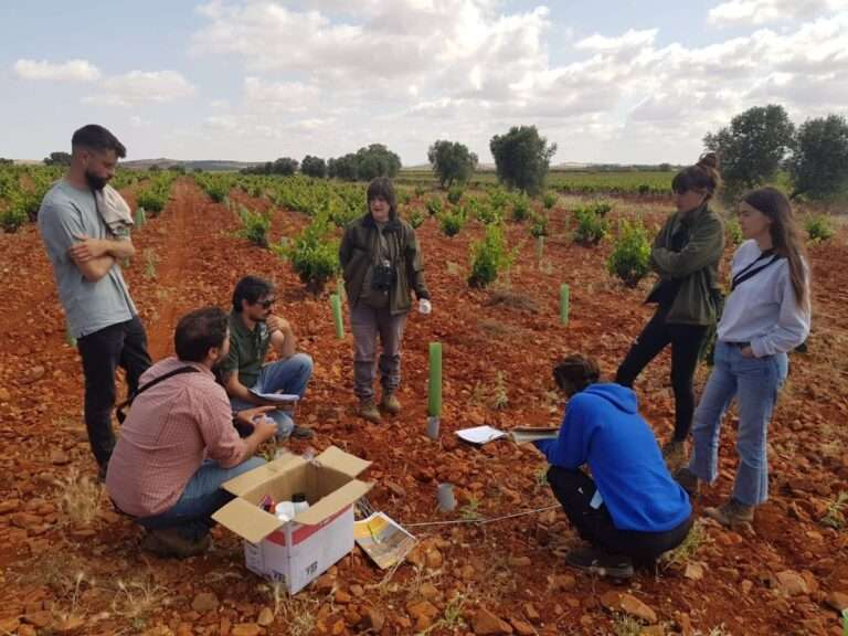 Los cinco proyectos en C-LM del programa 'Secanos Vivos' de SEO/BirdLife comienzan su segunda fase