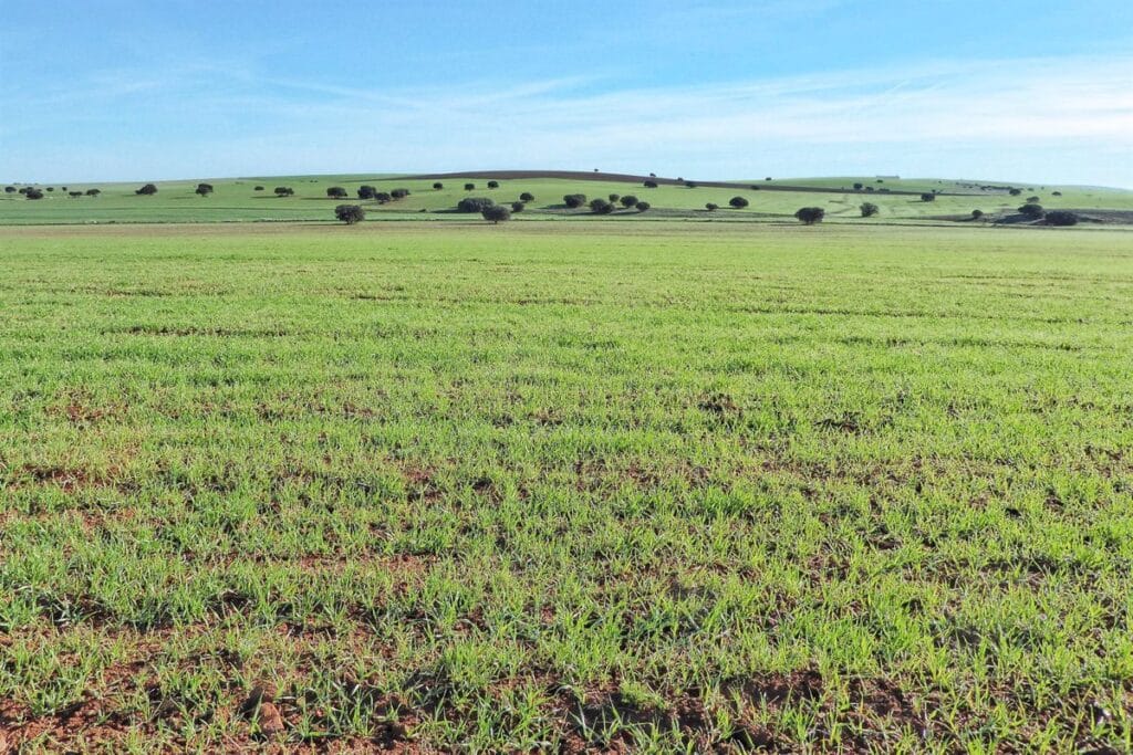 Sí a la Tierra Viva alerta de la peligrosidad y "dramático impacto" de las tierras raras, según un estudio internacional