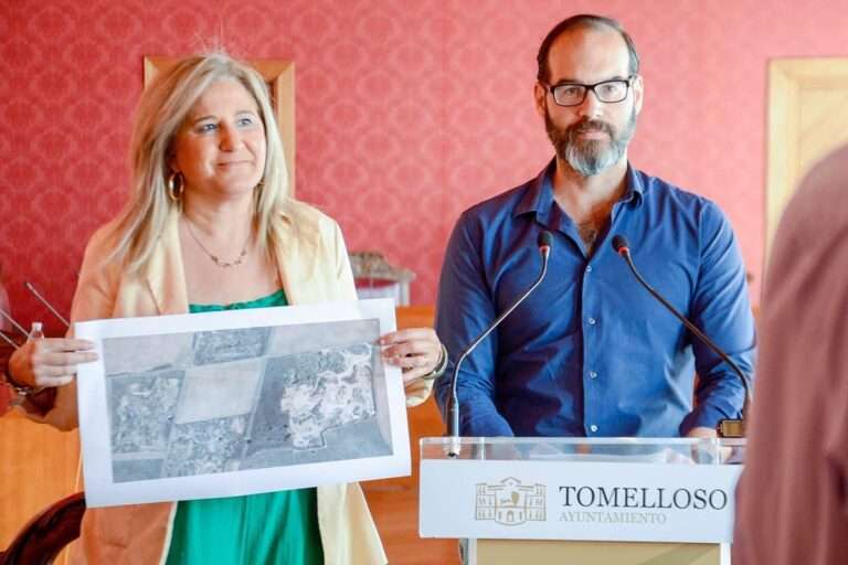 Tomelloso se queja de la respuesta de Red Eléctrica a las alegaciones a la subestación: "Son un cúmulo de despropósitos"