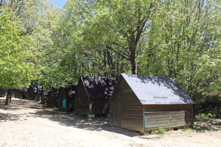 Cerca de mil plazas concedidas en C-LM para actividades en campamentos y albergues en el programa 'Verano Joven'